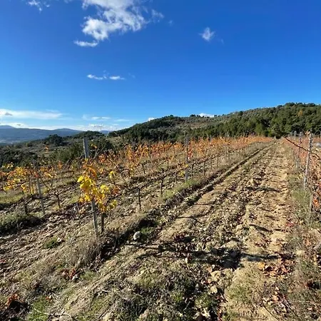 Vakantiehuis Quinta Da Penada - Vineyard & Winery - 3 *