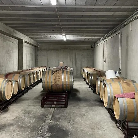 Quinta Da Penada - Vineyard & Winery - 3 Chaves