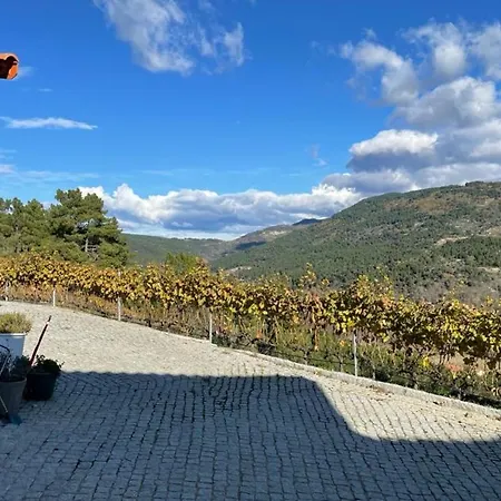 Quinta Da Penada - Vineyard & Winery - 3