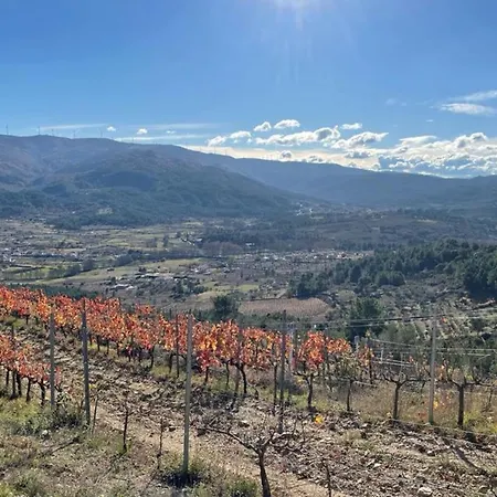 Quinta Da Penada - Vineyard & Winery - 3 Chaves